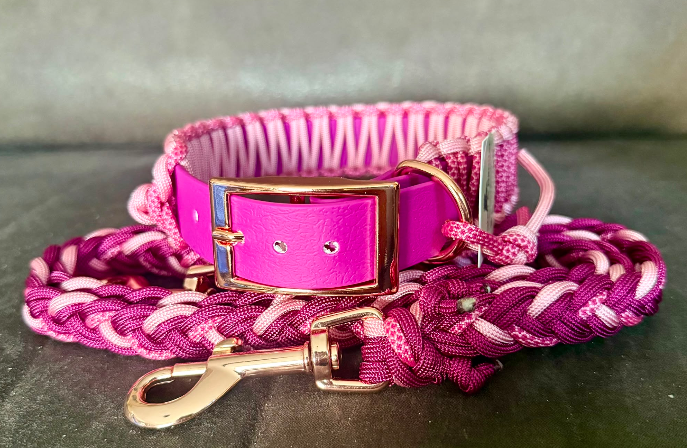 Biothane & Paracord Halsband + Paracord Leine - Handmade