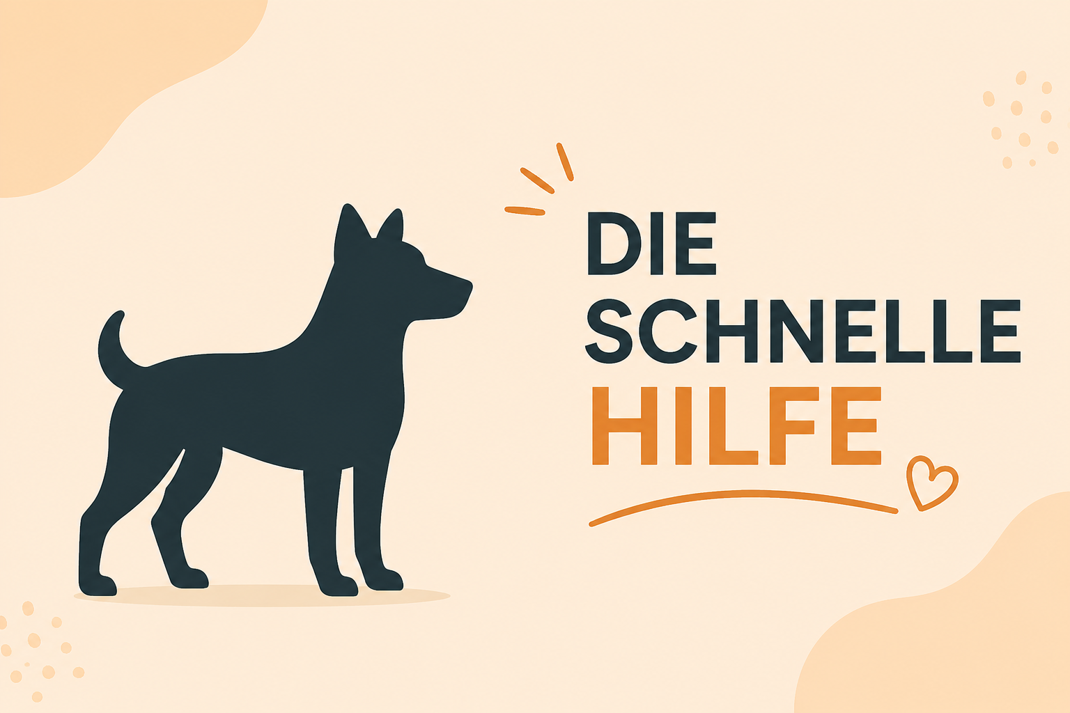 Die "Schnelle Hilfe"
