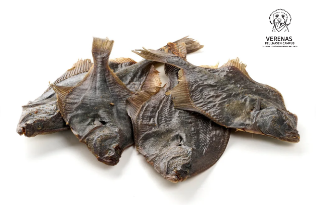Flunder - Große Fisch-Delikatesse