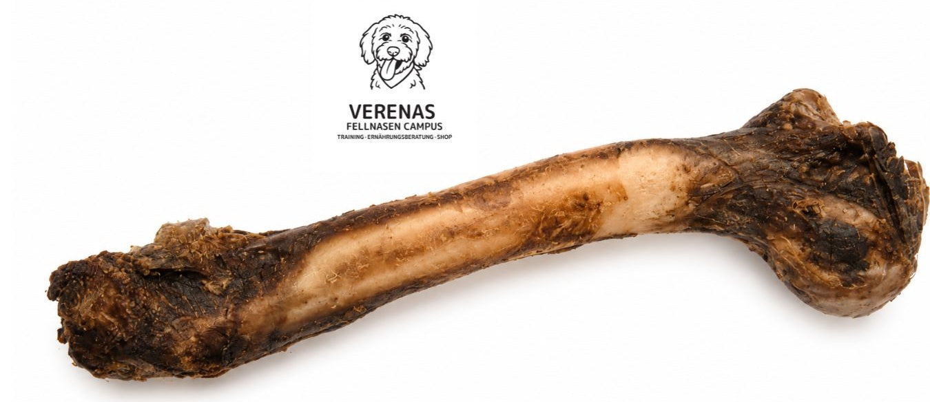 Hirsch-Bogenröhre 20-25cm