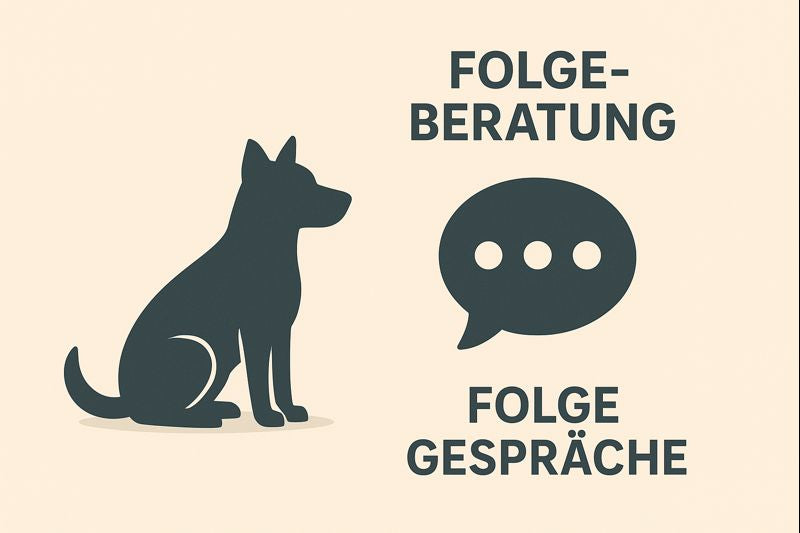 🔁 Folgeberatung / Folgegespräche