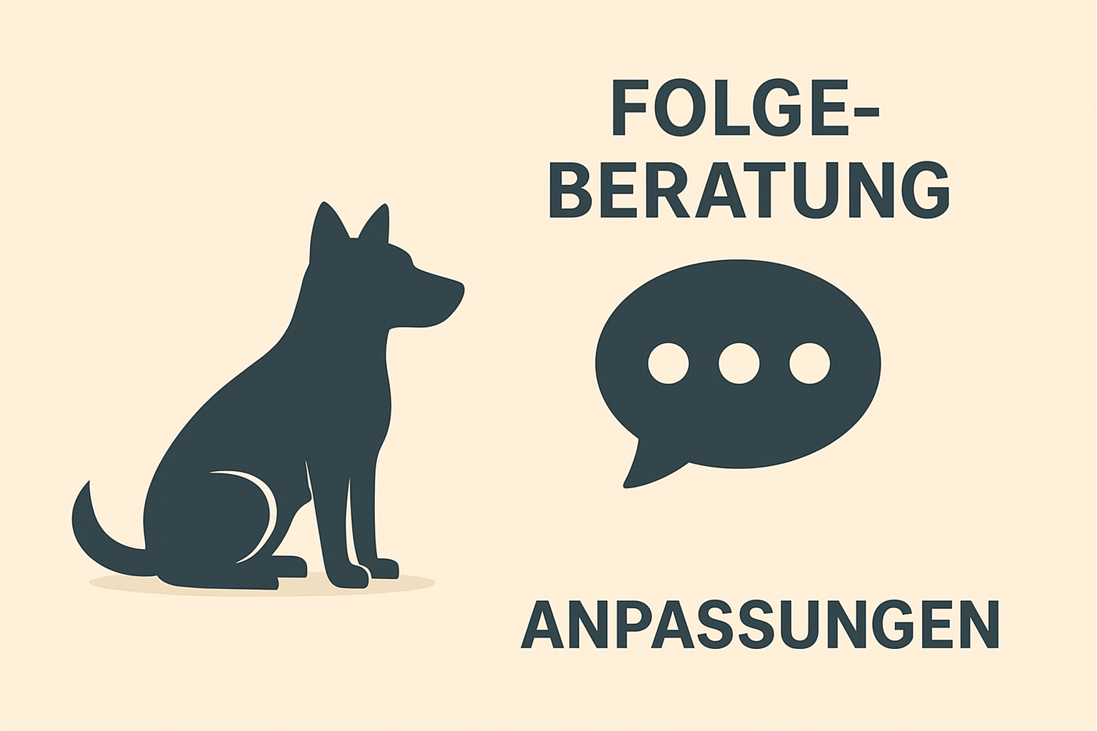 🔁 Folgeberatung / Anpassungen