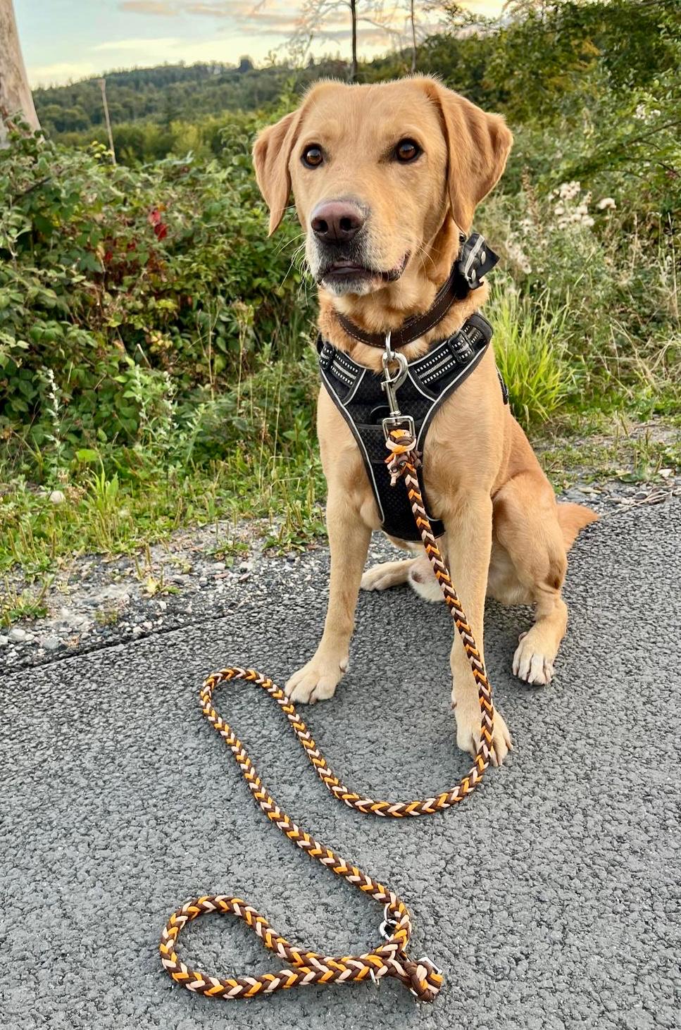 Hundeleine Paracord Erde - handmade