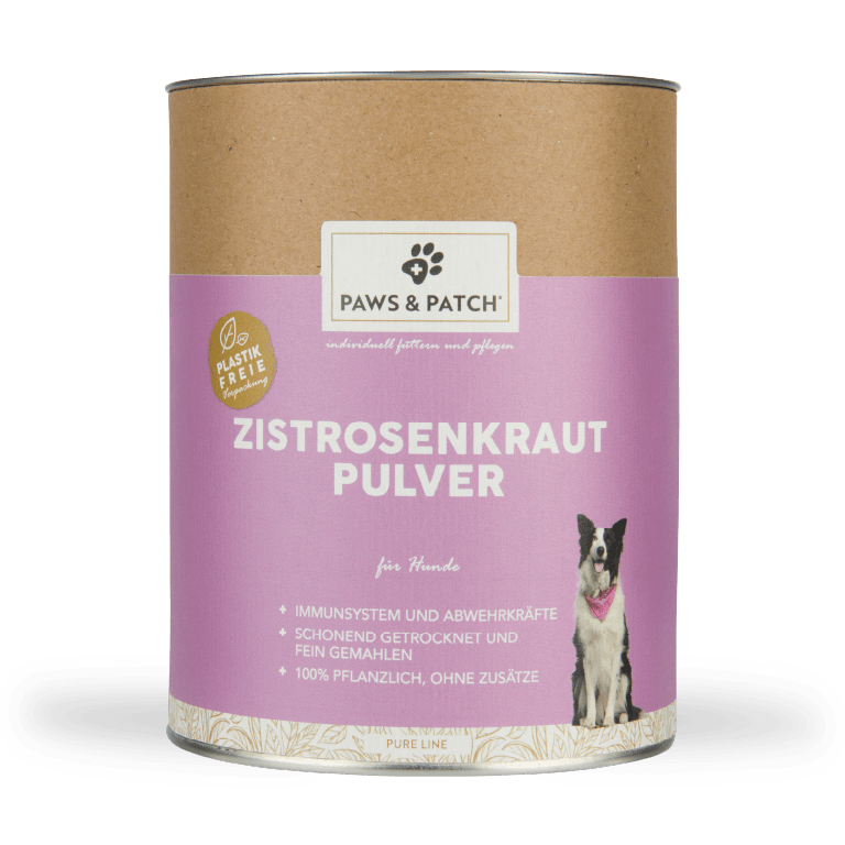 Reines Zistrosenkrautpulver