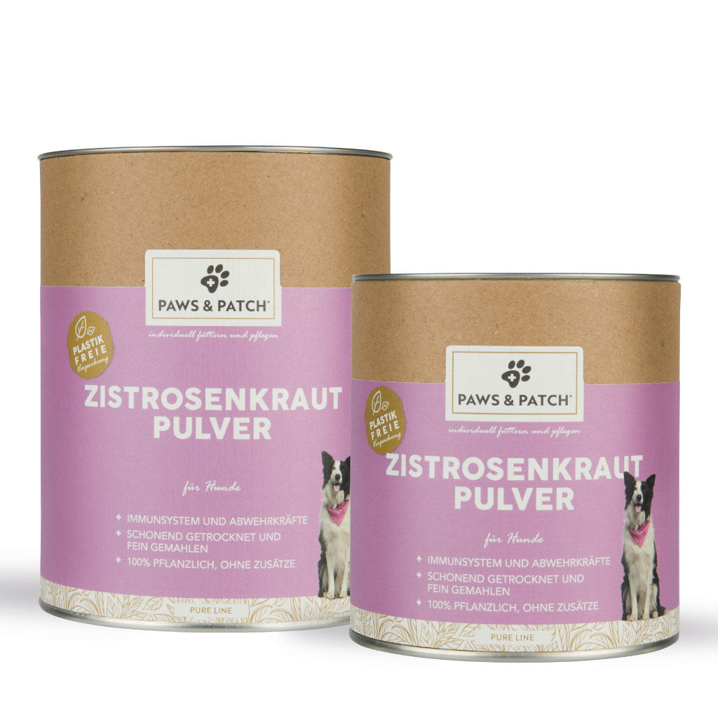 Reines Zistrosenkrautpulver