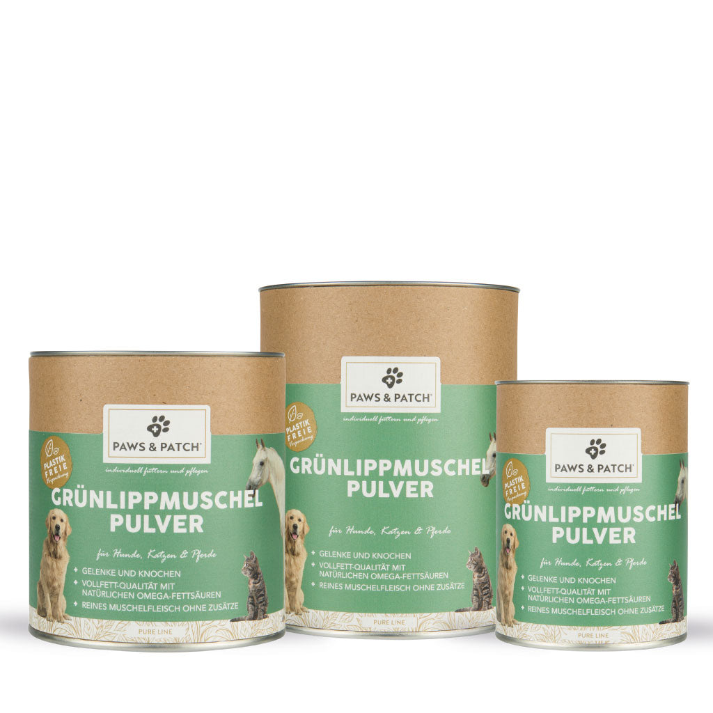 🐚 Grünlippmuschel Pulver – hochwertige Vollfett-Qualität