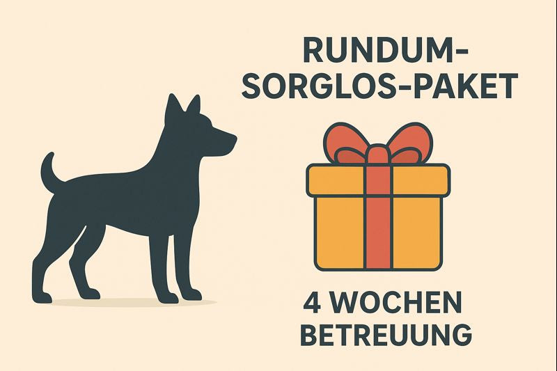 🎁Rundum-Sorglos-Paket