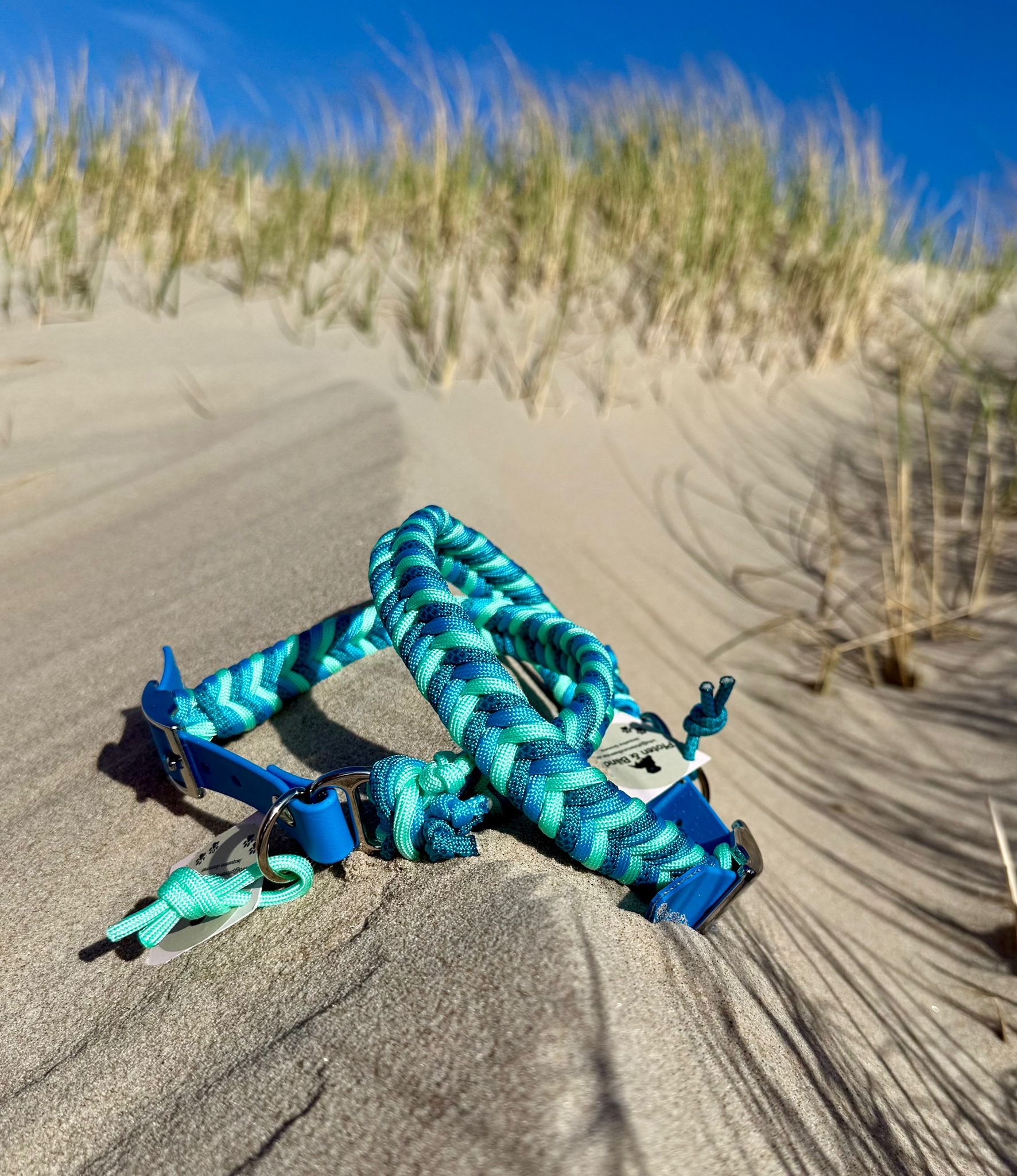 Hundehalsband aus Paracord