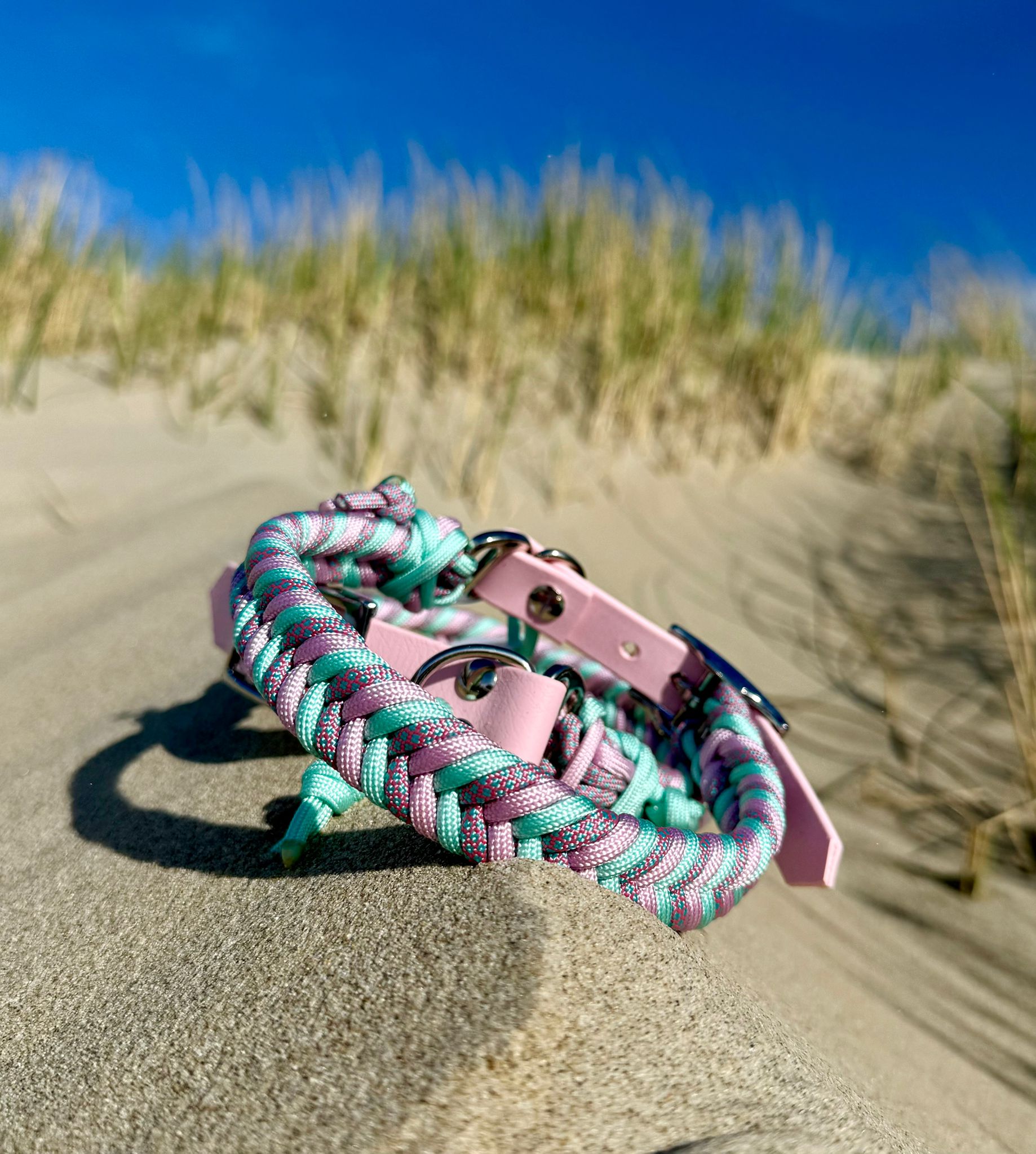 Hundehalsband aus Paracord