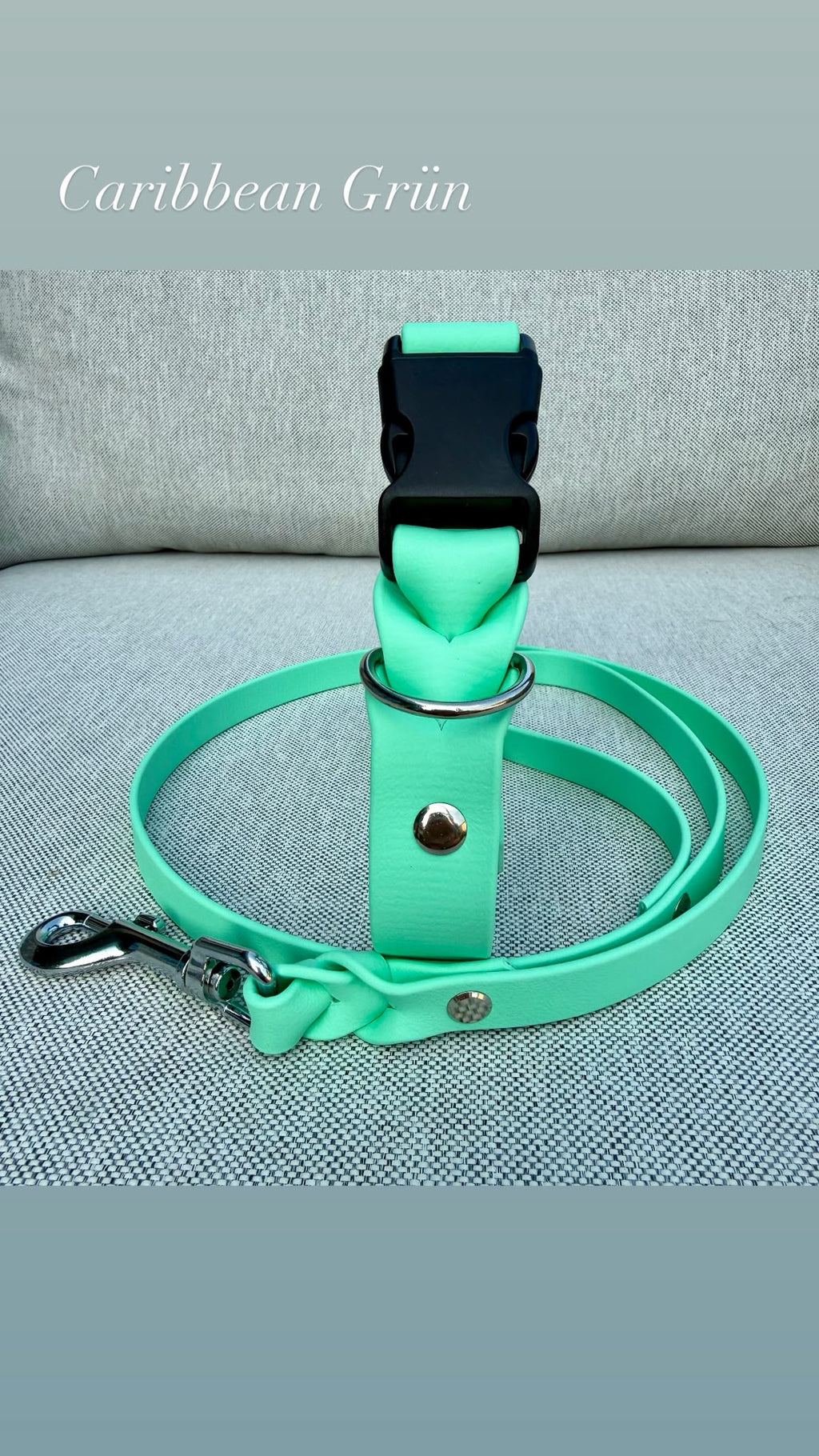 Biothane Halsband größenverstellbar + Führleine - Handmade