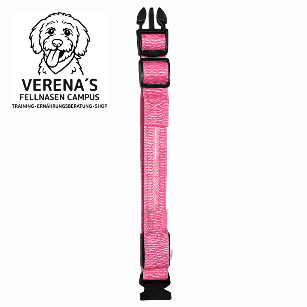 LED-Hundehalsband – Sicherheit bei Nacht