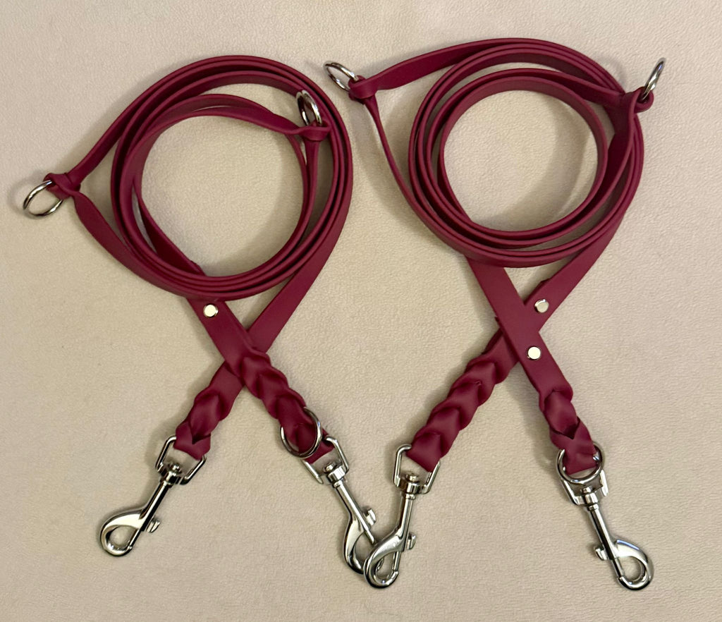 Alltagsleine / Hundeleine Biothane - Handmade