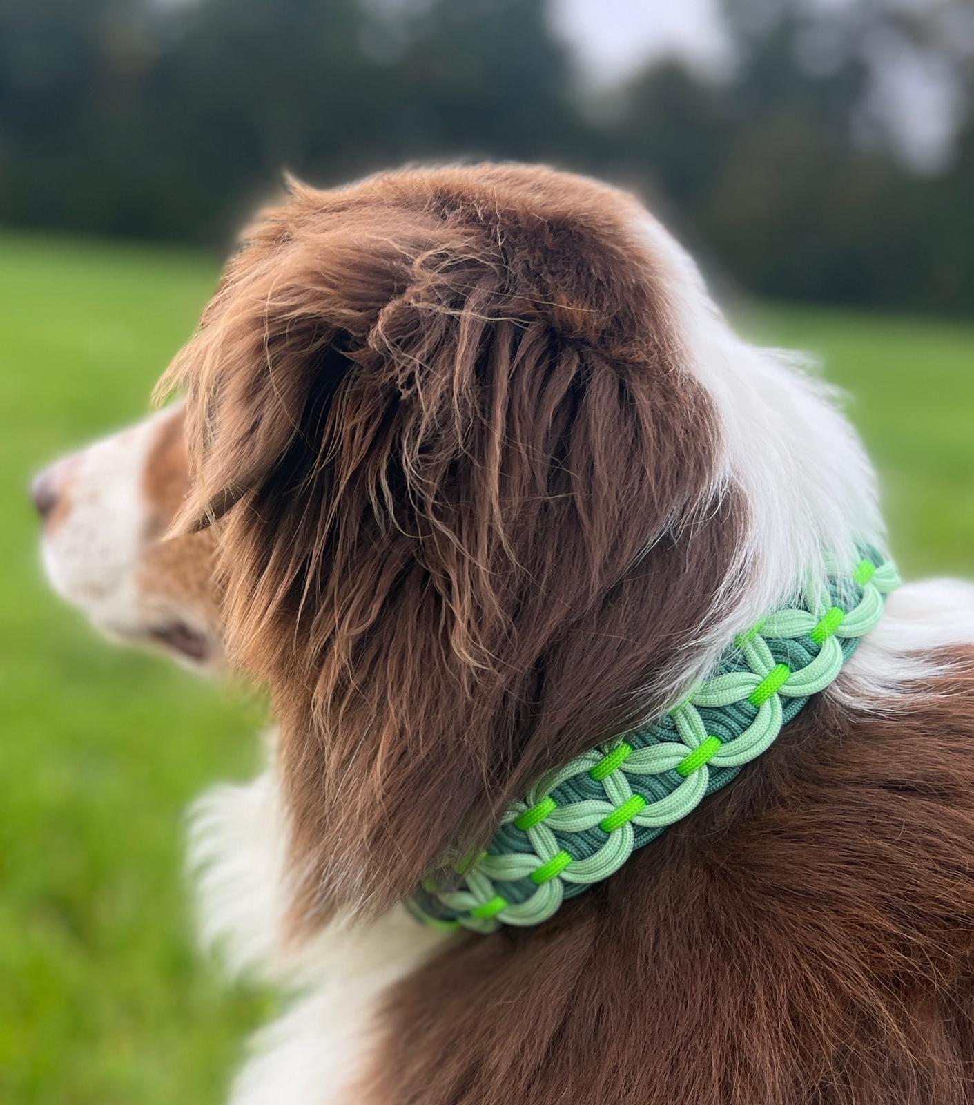 Hundehalsband Paracord Grün - handmade